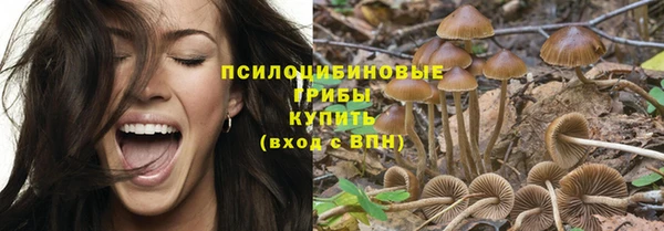 apvp Белоозёрский