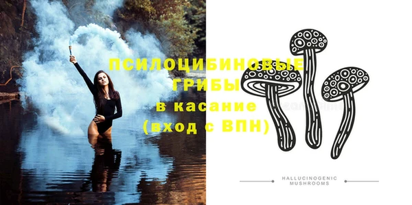 спайс Белокуриха
